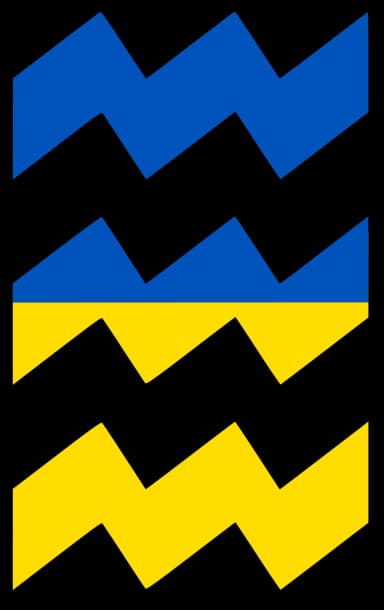 Ukrainians in Eindhoven (UAIE)